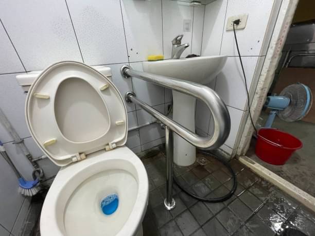 Stainless Steel Grab Bar P shape New SGS load Certificate