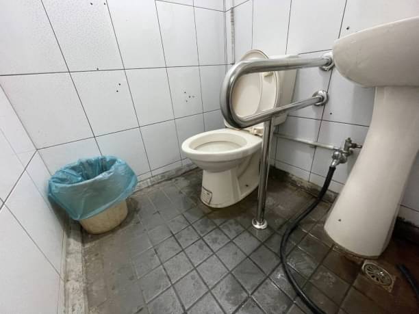 Stainless Steel Grab Bar P shape